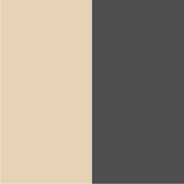 Beige ivoire & gris foncé